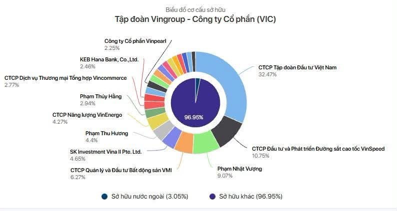 Cấu trúc sở hữu Vingroup: Phân tích mô hình quyền kiểm soát