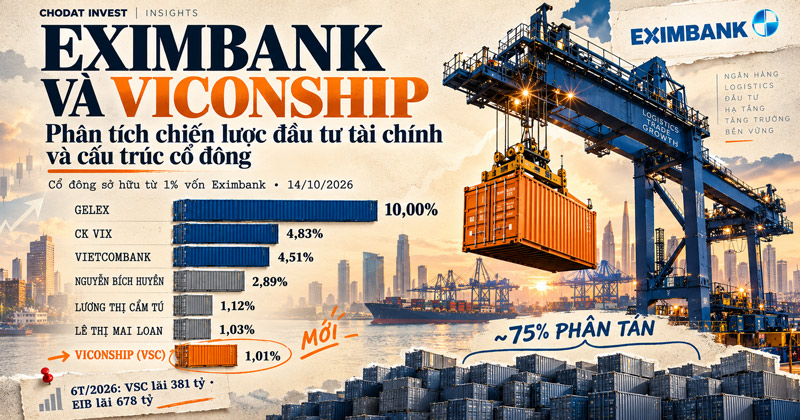 Eximbank và Viconship: Phân tích chiến lược đầu tư tài chính và cấu trúc cổ đông