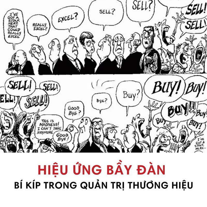 ỨNG DỤNG HIỆU ỨNG BẦY ĐÀN TRONG QUẢN TRỊ THƯƠNG HIỆU HIỆU QUẢ