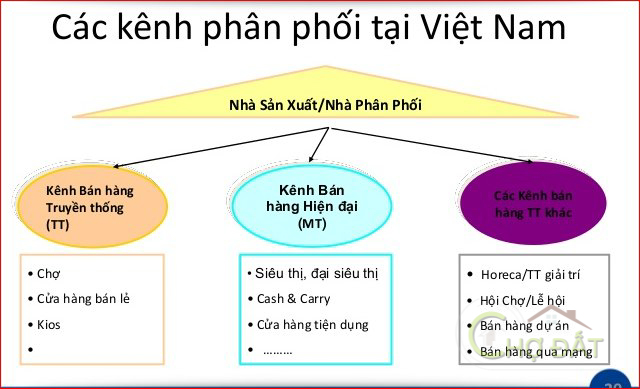 Các kênh phân phối bán hàng phổ biến ở Việt Nam