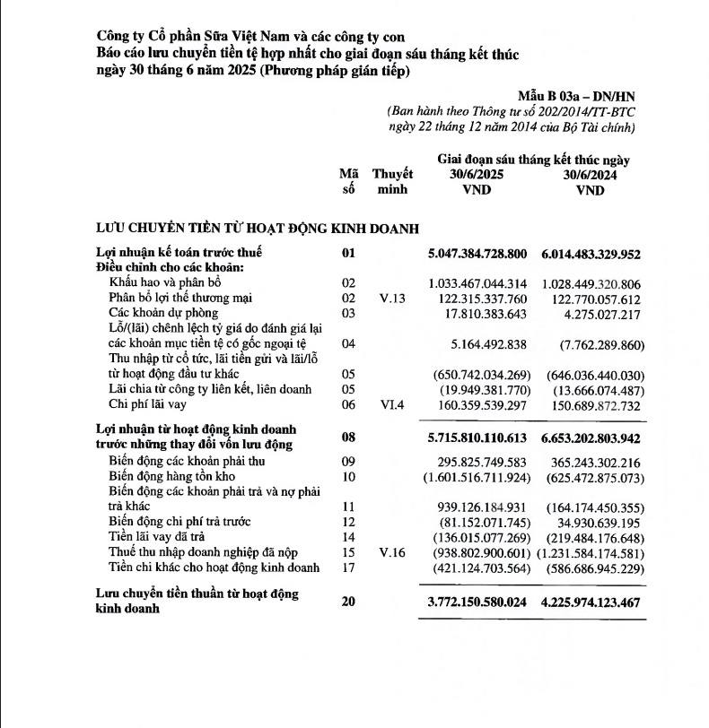 báo cáo tài chính của Vinamilk trong 6 tháng đầu năm 2025 để thấy rõ hơn bức tranh thực tế phía sau con số lợi nhuận