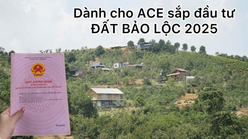 Lời khuyên đắt giá dành cho Nhà đầu tư đất Bảo Lộc 2026