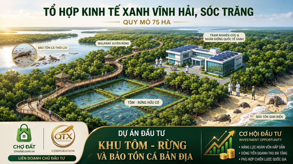 KÊU GỌI VỐN ĐẦU TƯ XÂY DỰNG KHU TÔM - RỪNG VÀ BẢO TỒN CÁ BẢN ĐỊA XÃ VĨNH  HẢI, THÀNH PHỐ CẦN THƠ