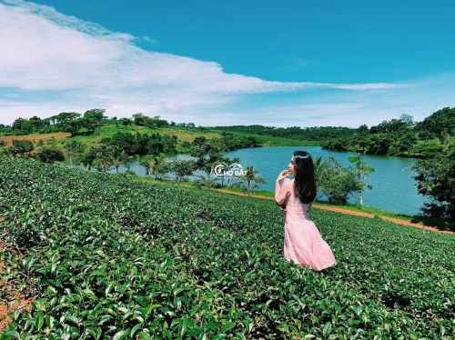 Bán đất nền bảo lộc lâm đồng 4 tỷ 4 dt 1000m2 sẵn 200m2 thổ cư